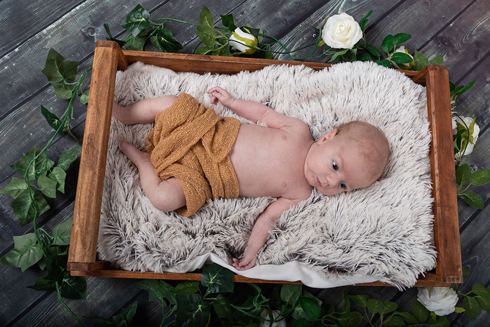 Fotoshoot newborn Deventer